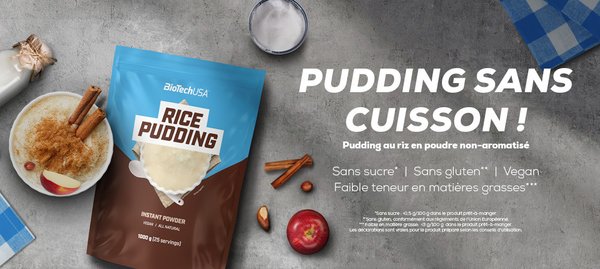 Rice Pudding - Biotech Usa
